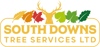 South Downs Tree Services